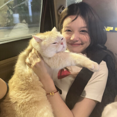 dt林宇婧
