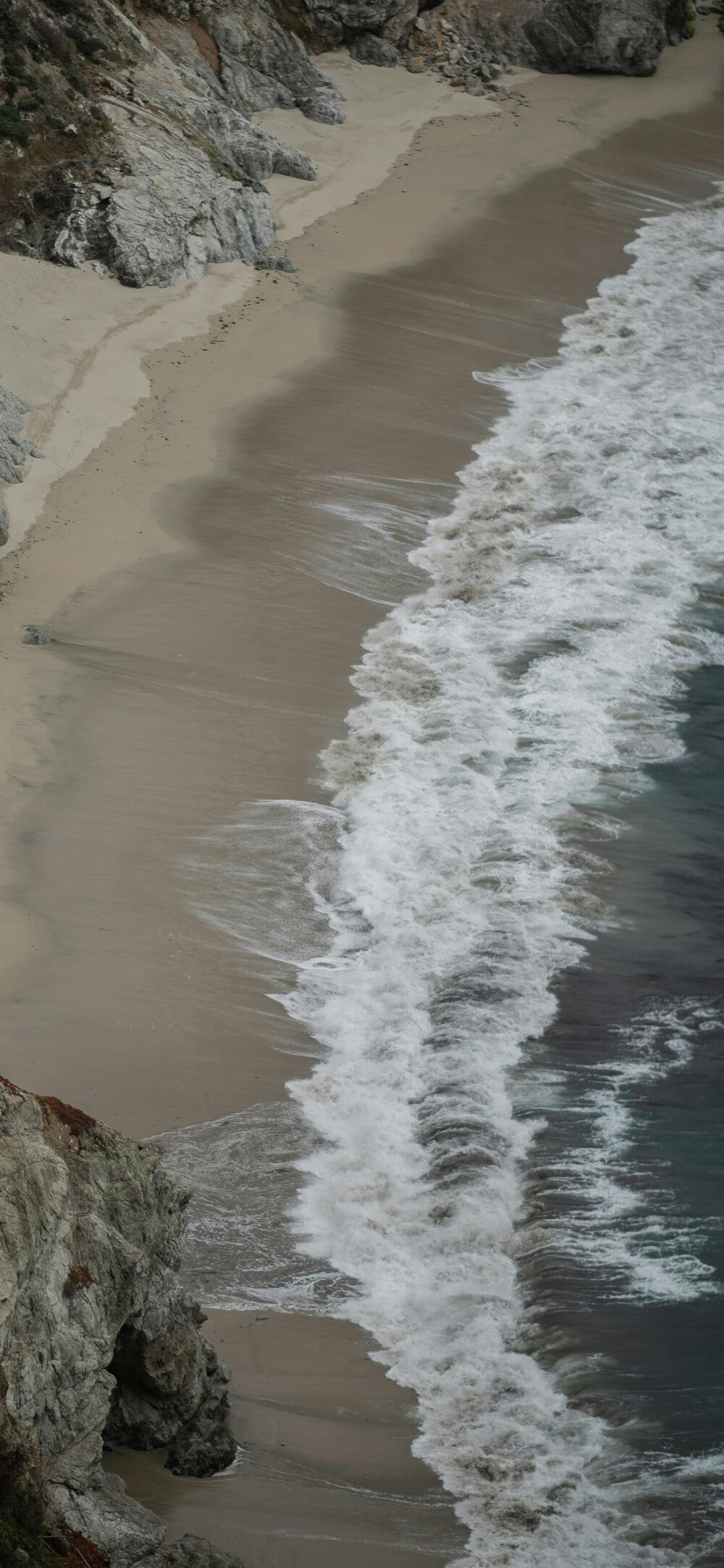 海