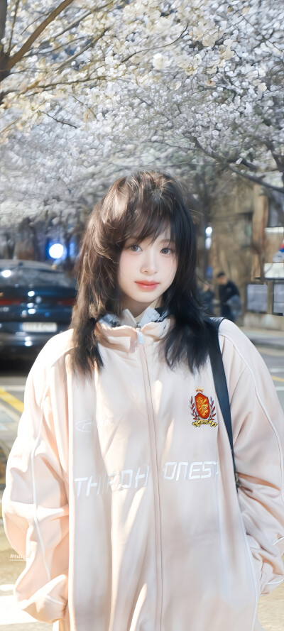 樱花树下的约定