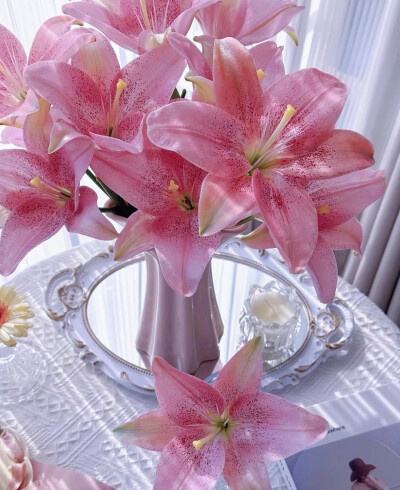 百合花图片