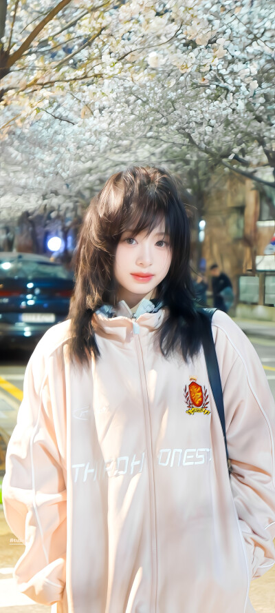 樱花树下的约定