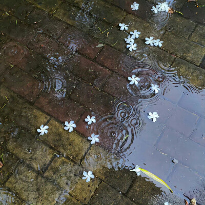 背景图