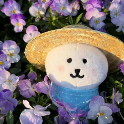 自嘲熊 春天