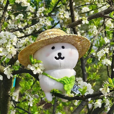自嘲熊 春天