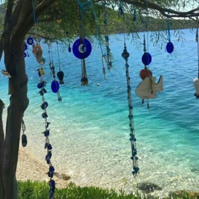 风景花朵背景图