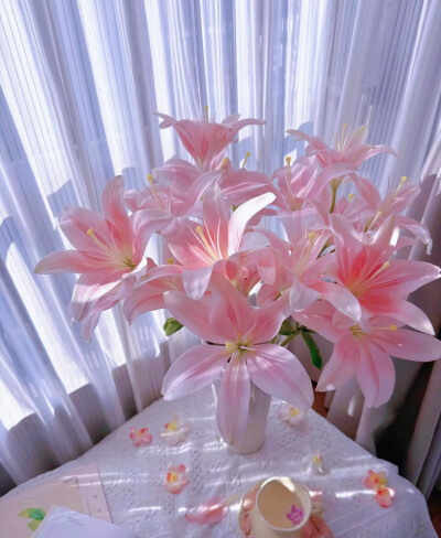百合花图片