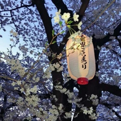 淡色系背景图