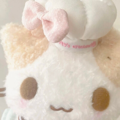 棉花糖猫