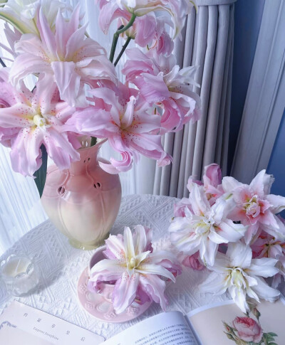 百合花图片2