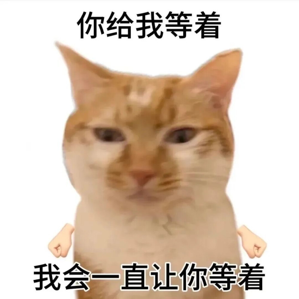 表情包