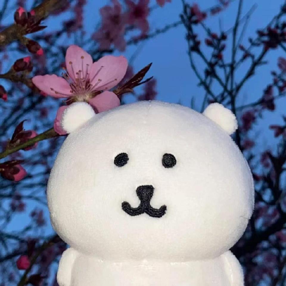 自嘲熊 春天