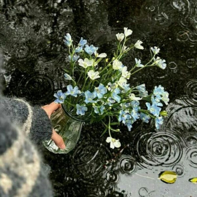 风景花朵背景图