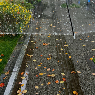 背景图