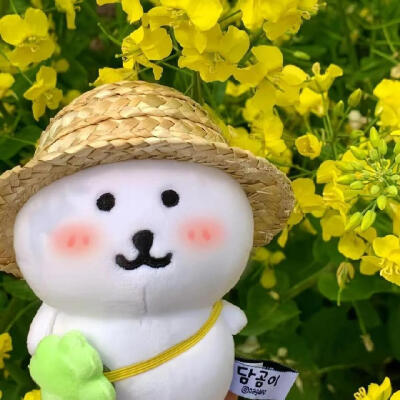 自嘲熊 春天