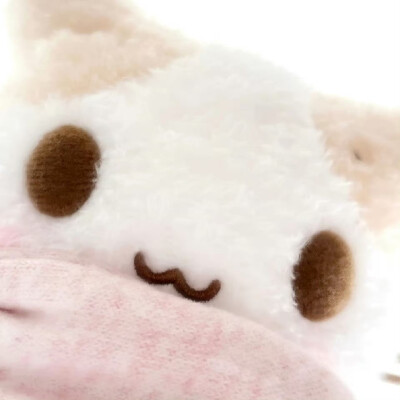 棉花糖猫