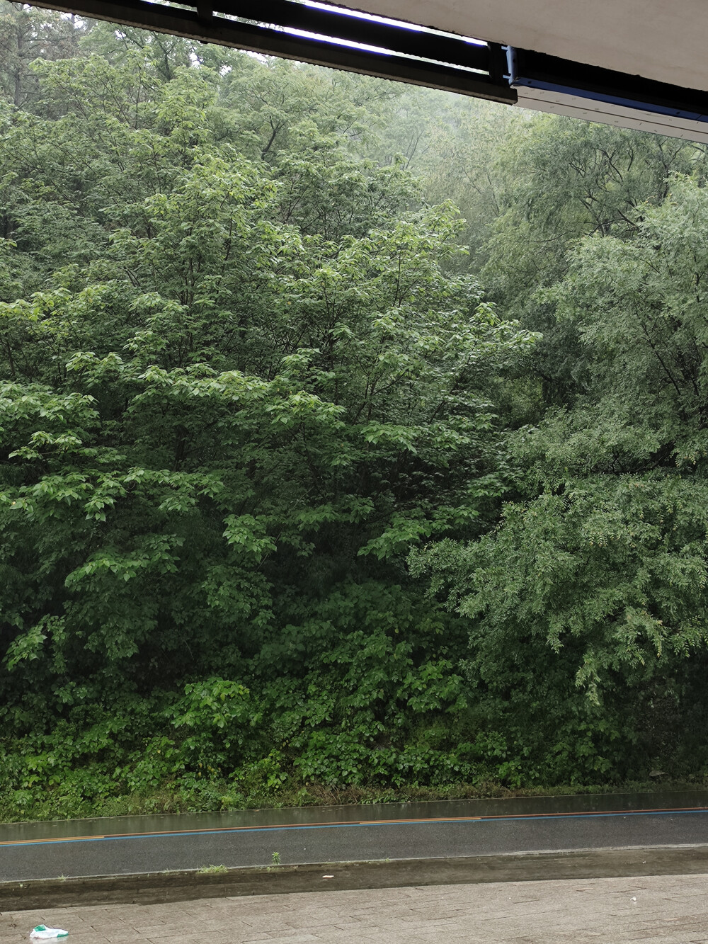 四月的雨