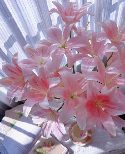 百合花图片