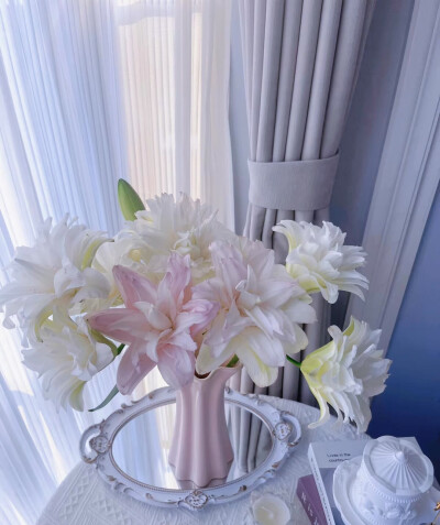 百合花图片2