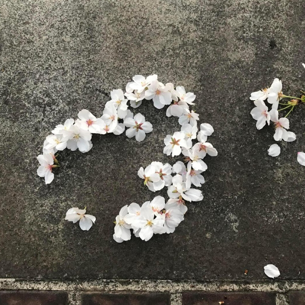 背景图 ins风背景图 WeChat背景图