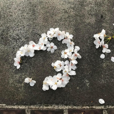 背景图 ins风背景图 WeChat背景图