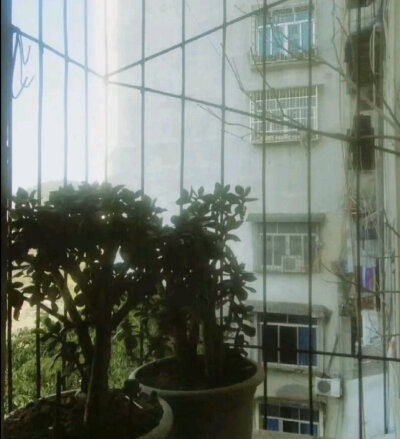 中式梦核 千禧感