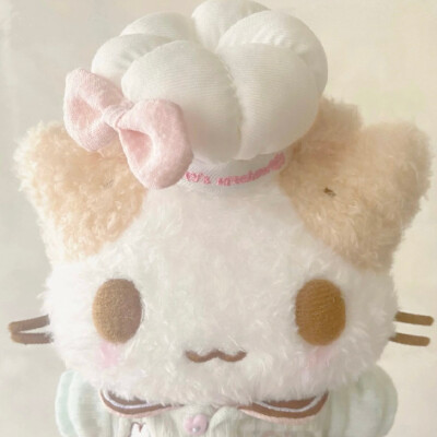 棉花糖猫