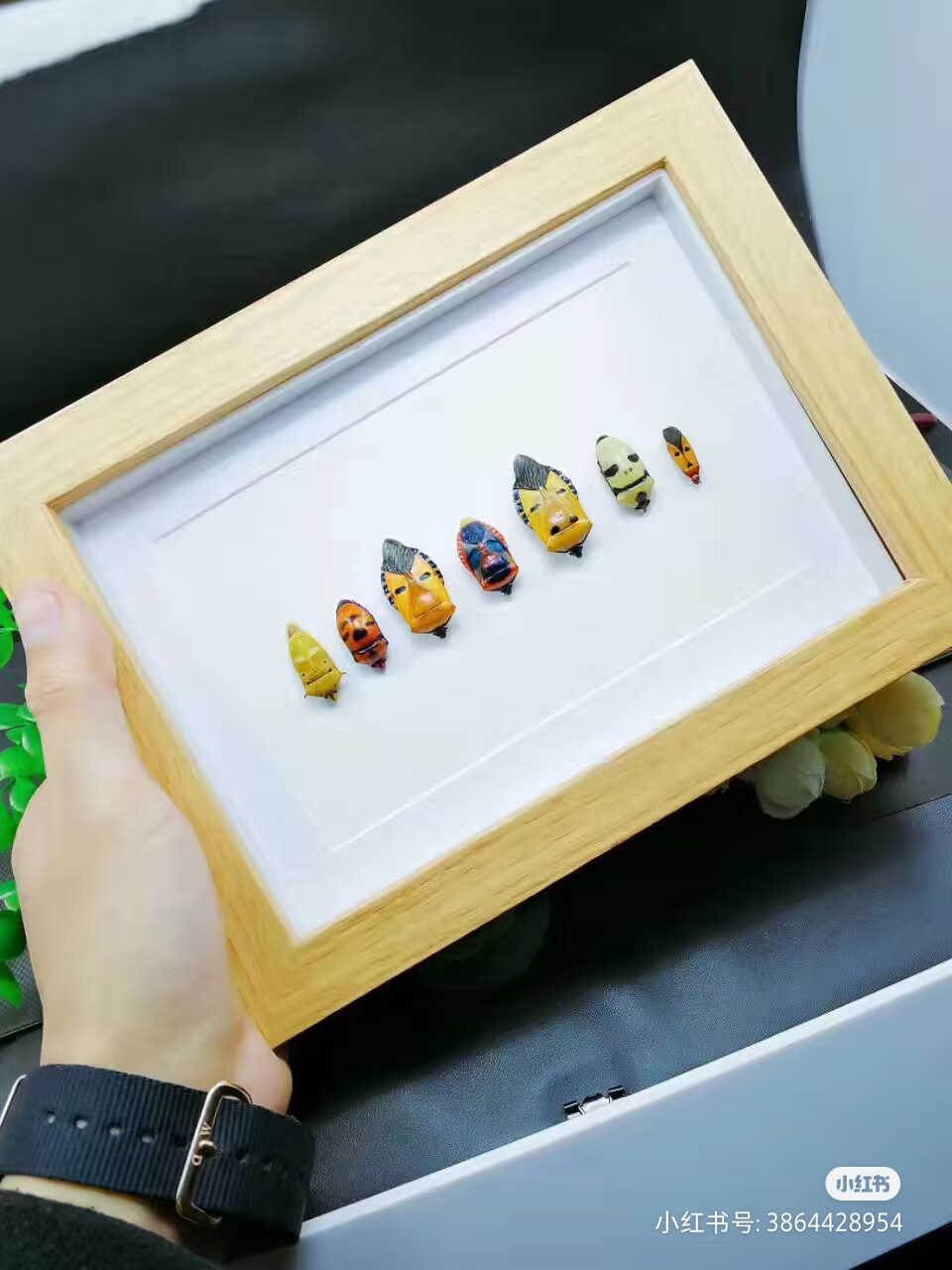 标本