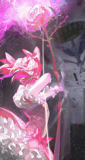 搬运来自微信公众号
小圆壁纸