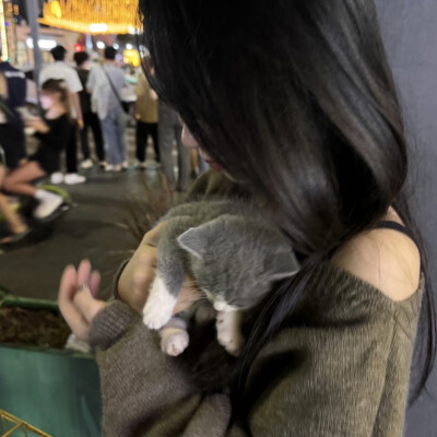dt林宇婧