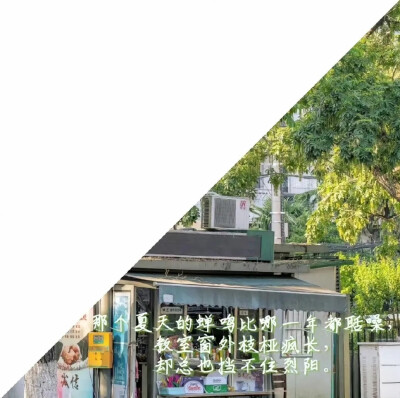 微信公众号王子的宝藏头库