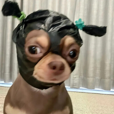 搞怪头像