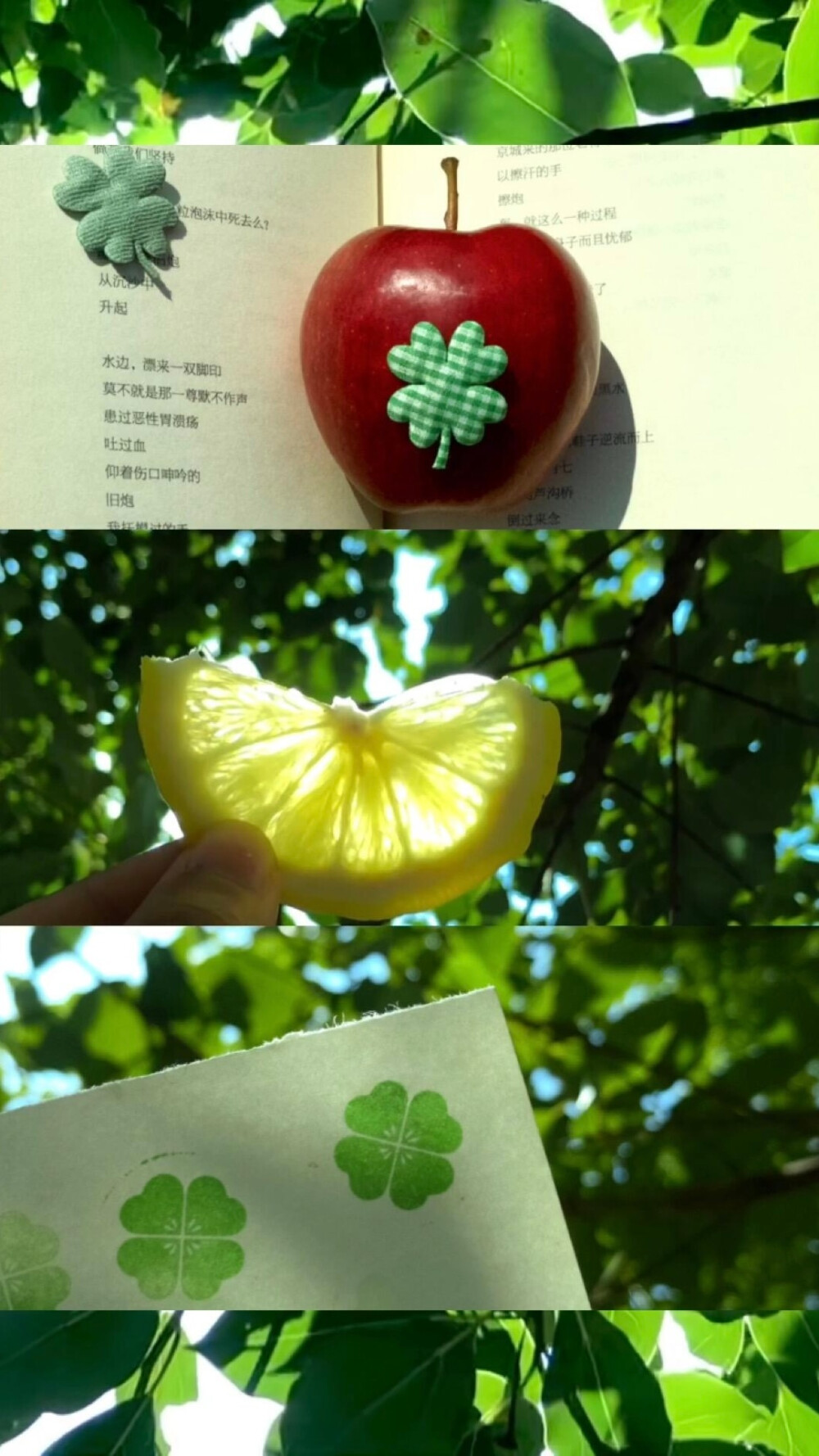 青苹果与无尽夏