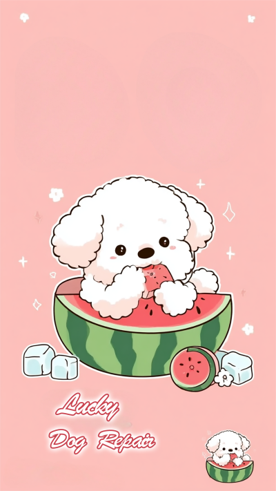 狗狗