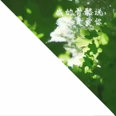 微信公众号王子的宝藏头库