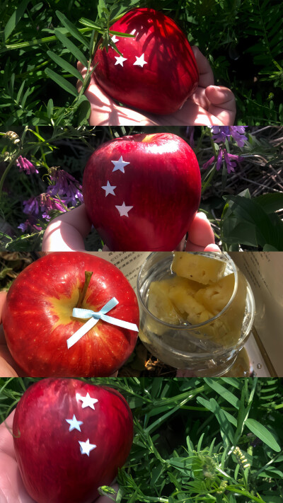 青苹果与无尽夏