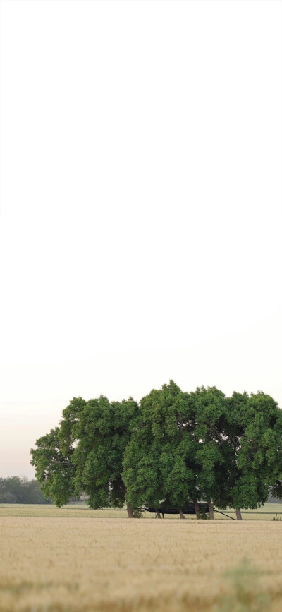 啦啦啦