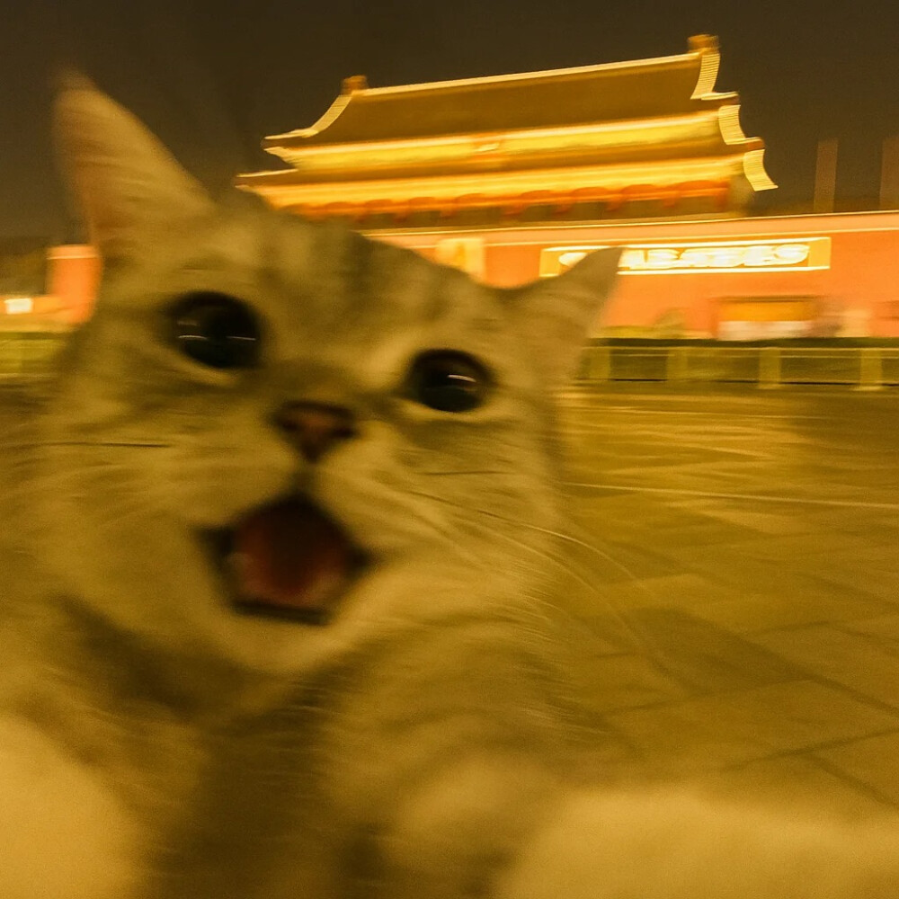 情侣头像