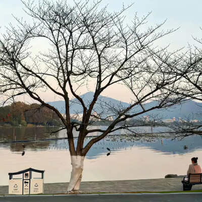 背景图