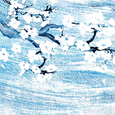 回去告诉你主子，他杀不了唐俪辞