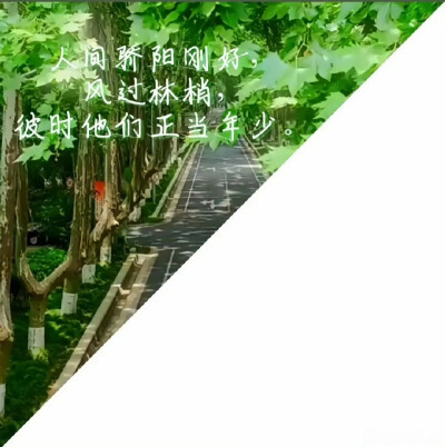 微信公众号王子的宝藏头库