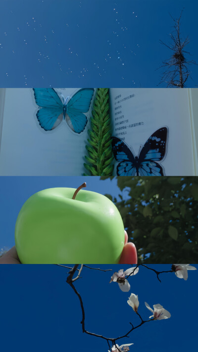 青苹果与无尽夏