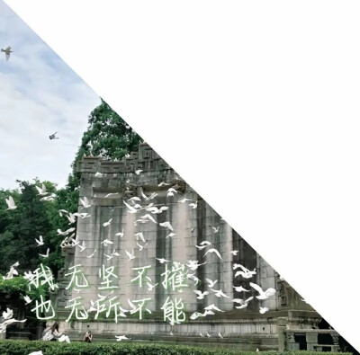 微信公众号王子的宝藏头库