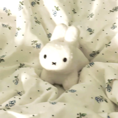 摸个鱼✌︎' ֊'
