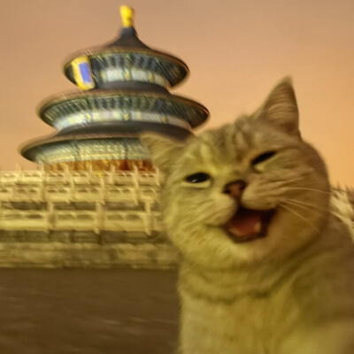情侣头像