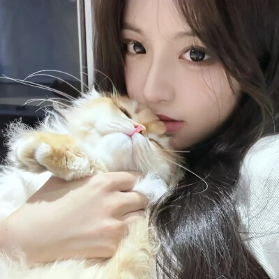 女生头像 抱猫