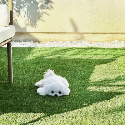 ‎#ليس قوة خارقة