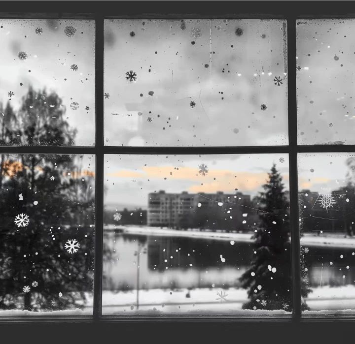 知我晦暗 许我春朝