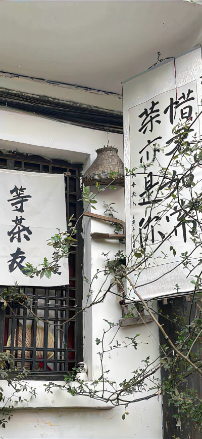 手机壁纸
