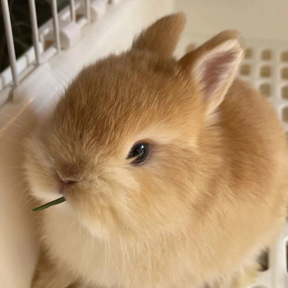 ‎#ليس قوة خارقة