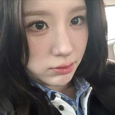 田姬振